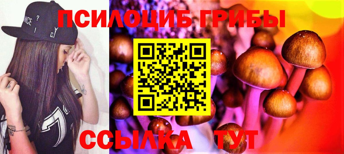 Псилоцибиновые грибы Cubensis Тихорецк